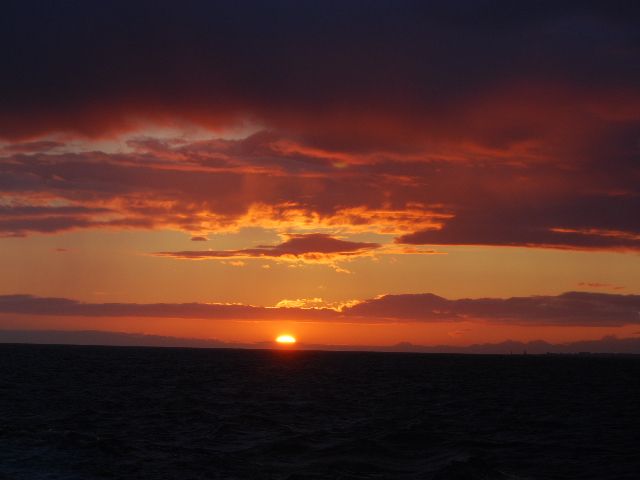 Reykjavik: Midnight Sun Whale Watching Tour - Duration and pacing: how a 3-hour outing feels in practice