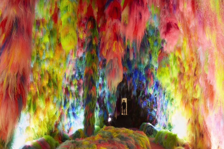 Reykjavík: Multi-Sensory Art Installation Chromo Sapiens - Key things to know before you go