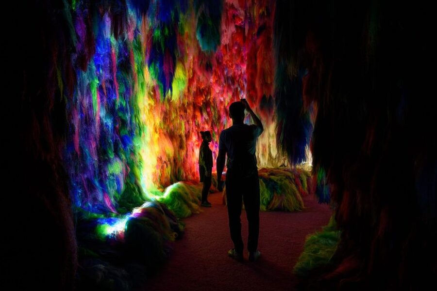 Reykjavík: Multi-Sensory Art Installation Chromo Sapiens - Who should book Chromo Sapiens, and who might not love it