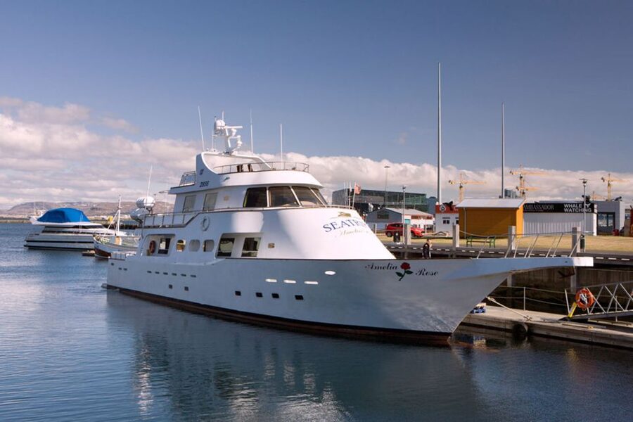 Reykjavik: New Years Fireworks Midnight Cruise - Northern Lights chance: how to think about it without disappointment
