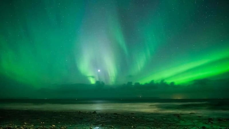 Reykjavik: Northern Lights Adventure Tour with Hot Chocolate - Pickup timing in Reykjavik: choose your stop and plan your evening