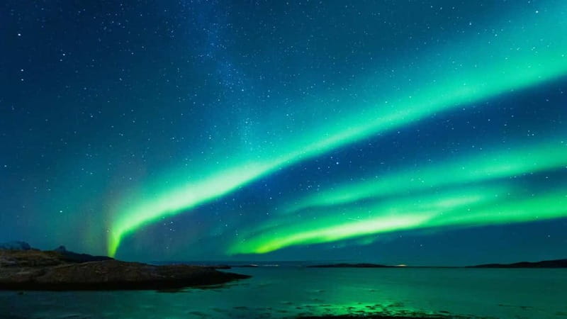 Reykjavik: Northern Lights Adventure Tour with Hot Chocolate - Hot chocolate and warmth: small comfort that changes the night