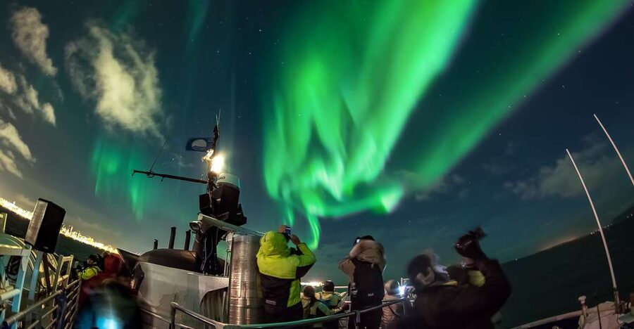 Reykjavik: Northern Lights Guided Boat Tour - Key points that matter before you book
