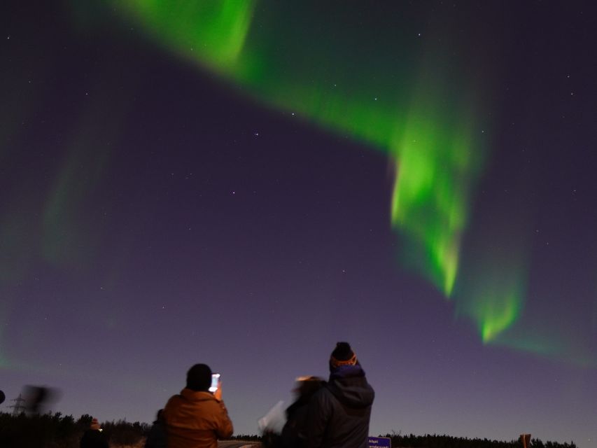 Reykjavik: Northern Lights Tour w/Pro Photos - Small Group - When the aurora does not show: the retry value you should understand