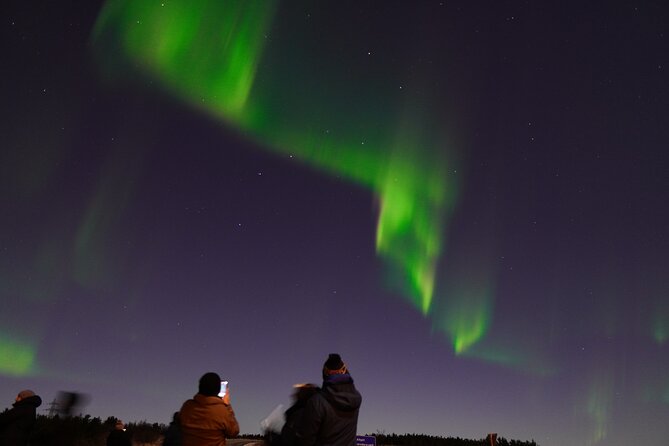 Reykjavik Northern Lights Tour with Pro Aurora Photos Small Group - Pro Aurora Photos, and What You Actually Receive