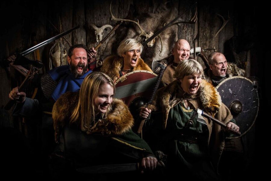 Reykjavik: Private Icelandic Viking Age Walking Tour - Who this tour is best for
