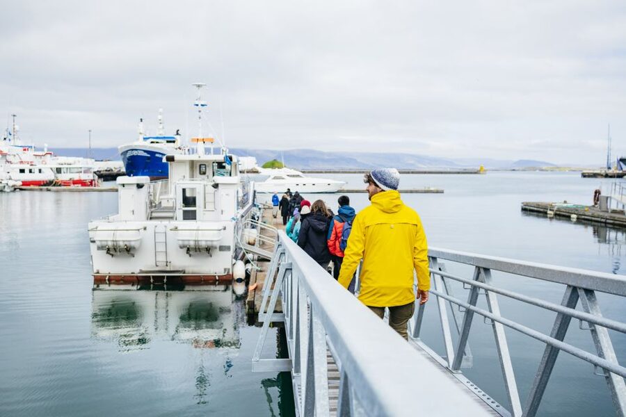 Reykjavik: Puffin Watching Boat Tour - Weather, Waves, and When the Tour Changes Plans