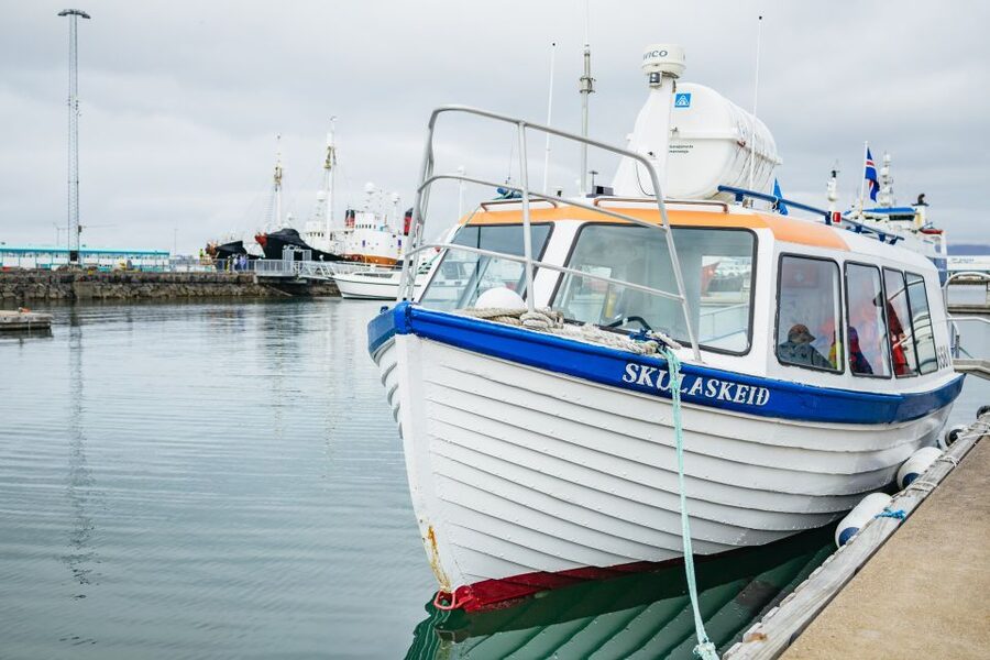 Reykjavik: Puffin Watching Boat Tour - The Puffin Guarantee: What 100% Sightings Really Means for Your Trip