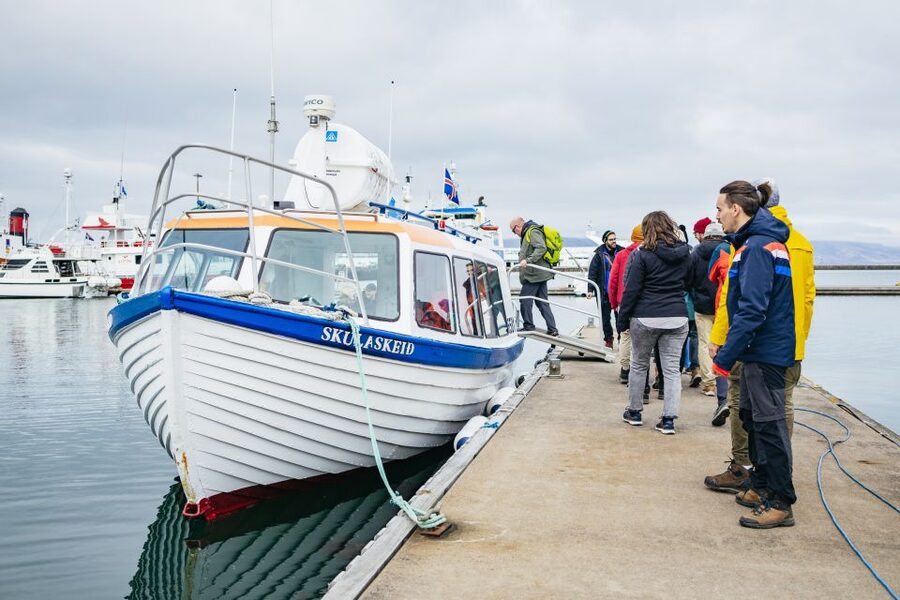Reykjavik: Puffin Watching Boat Tour - Best Timing for More Birds on Land: A Practical Planning Tip
