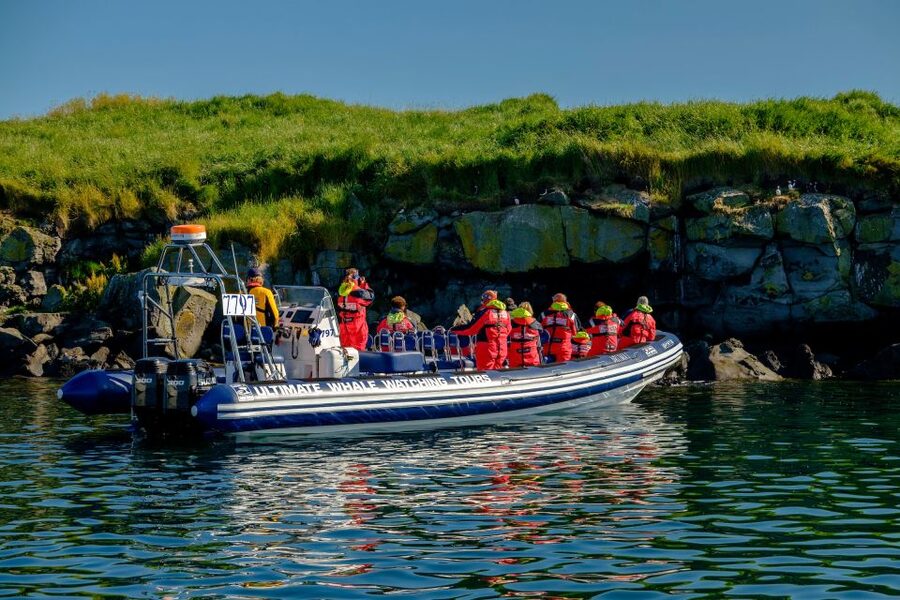 Reykjavik: Puffin Watching Tour - Reykjavik RIB Puffin Tour in Plain Terms