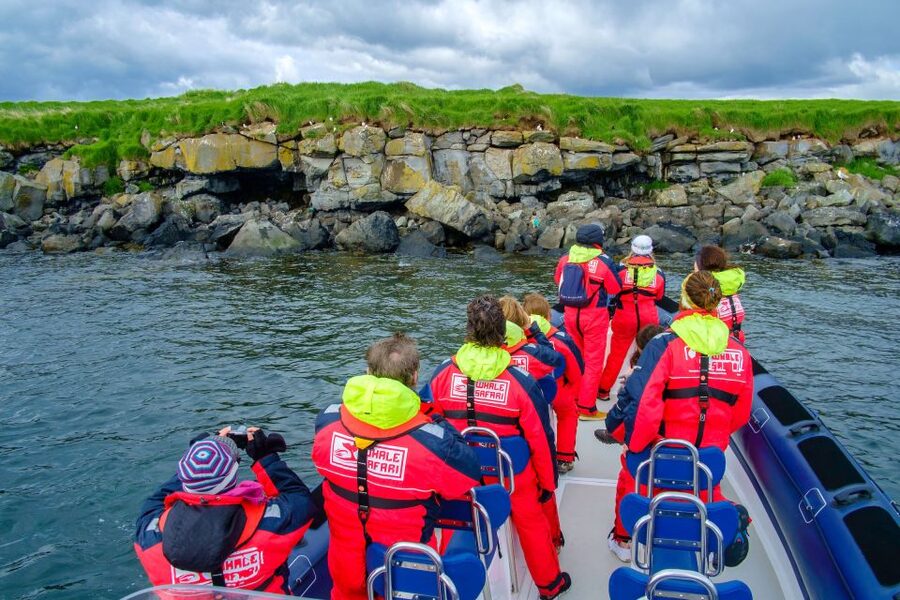 Reykjavik: Puffin Watching Tour - Meeting at Old Harbour, Then Getting Wrapped Up for Real Weather