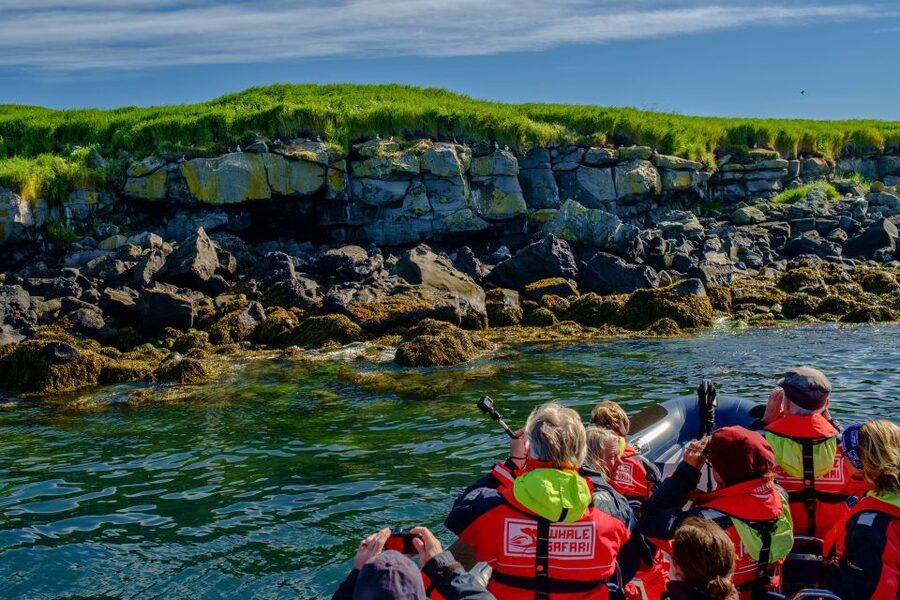 Reykjavik: Puffin Watching Tour - Your Guide on Board: What You Learn While You Watch