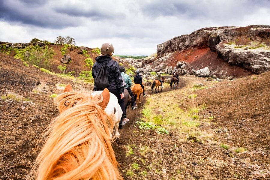 Reykjavik: Red Lava Horse Riding Tour - Red Lava Fields, Friendly Icelandic Horses, and the Pace That Fits You