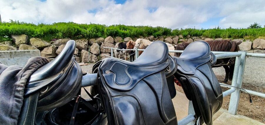 Reykjavik: Red Lava Horse Riding Tour - Red Lava Rocks Photo Stop and Post-Ride Tea