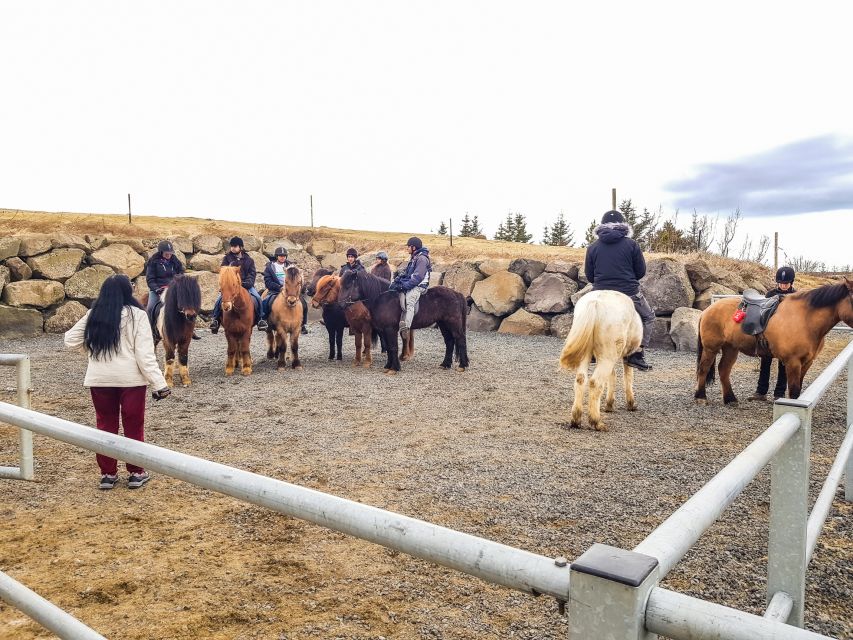 Reykjavik: Red Lava Horse Riding Tour - Is $142 Good Value for a Reykjavik Horse Ride?
