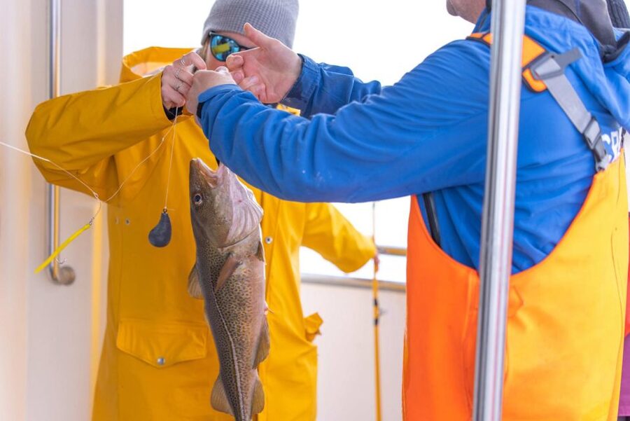Reykjavik: Sea Fishing Boat Tour & BBQ with the Day's Catch - From Reykjavik Old Harbor to Faxaflói Bay