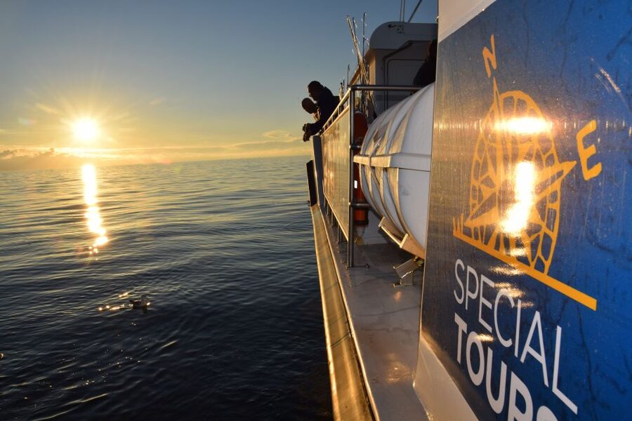 Reykjavik: Sea Fishing Boat Tour & BBQ with the Day's Catch - Wildlife Chances While You Fish and Wait for Bites