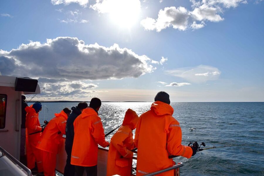 Reykjavik: Sea Fishing Boat Tour & BBQ with the Day's Catch - Weather, Choppy Water, and Motion Sickness Survival Tips