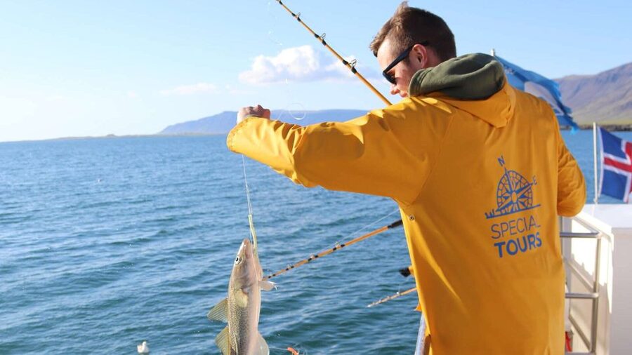 Reykjavik: Sea Fishing Boat Tour & BBQ with the Day's Catch - Who This Tour Is Best For (and Who Might Want Another Plan)