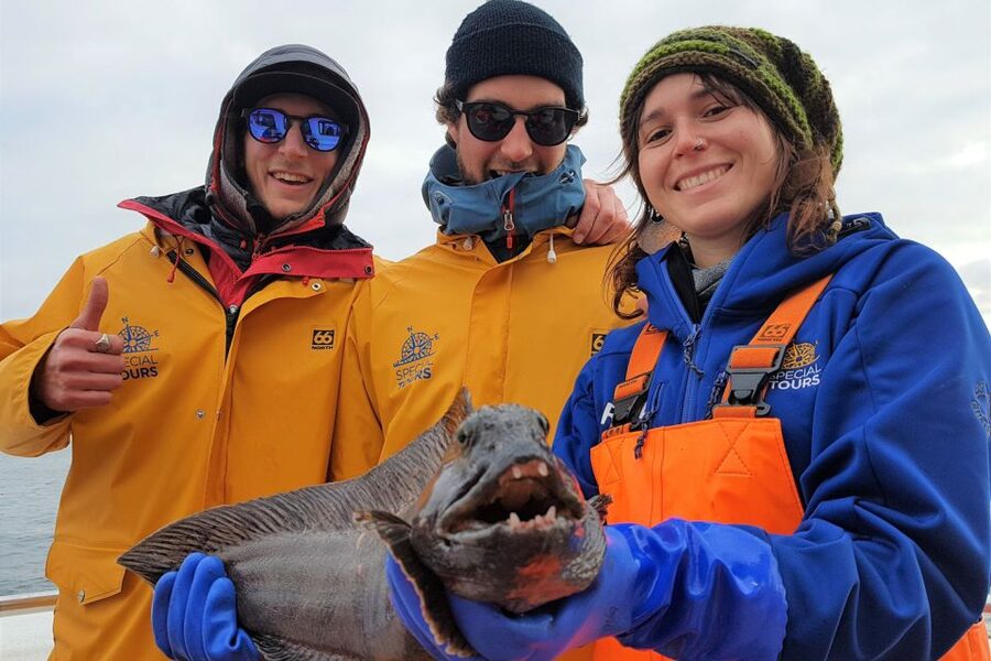 Reykjavik: Sea Fishing Boat Tour & BBQ with the Day's Catch - My Decision Guide: Should You Book It?