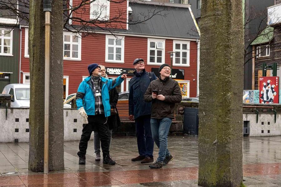 Reykjavik: Sightseeing Walking Tour with a Viking - Hallgrímskirkja Church, Pronunciation Help and the Real-World Check