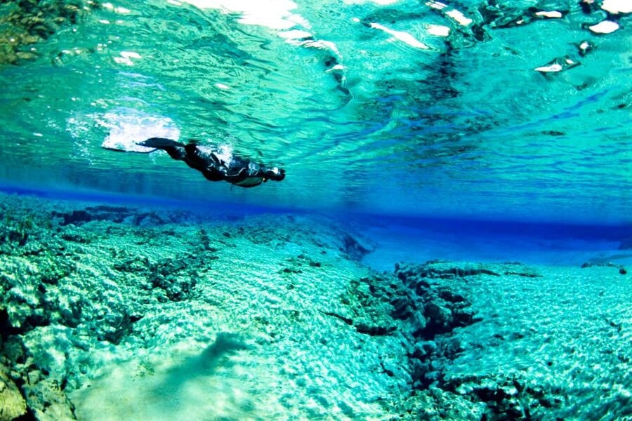 Reykjavík: Silfra Fissure Snorkeling and Lava Caving Tour - Price and value at about $202 per person