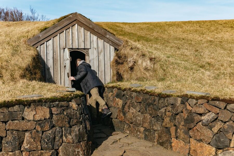 Reykjavik: Silver Circle Tour, Canyon Ride, & Thermal Baths - Sturlureykir Icelandic Horse Farm and the joy of ponies on cue