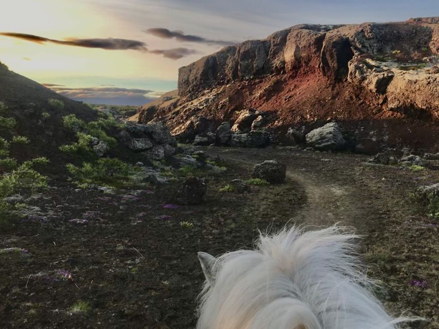 Reykjavik: Small-Group Horse Volcano Riding Tour with Pickup - Key takeaways before you book
