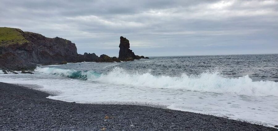 Reykjavik: Small-Group Snæfellsnes Day Trip - Ytri-Tunga: seals, farm vibes, and a beach that sounds alive