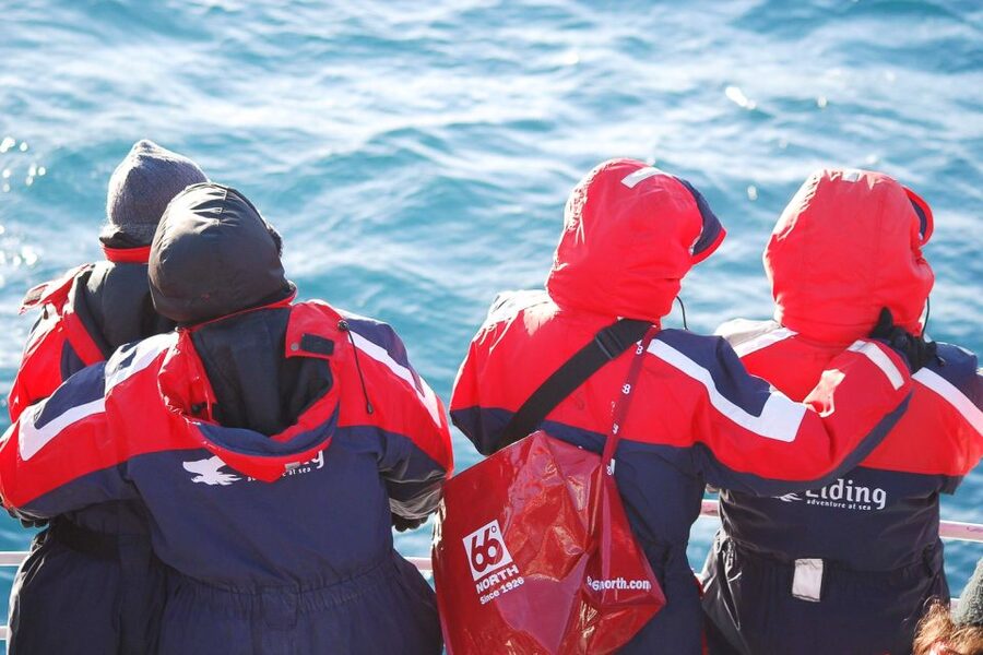 Reykjavik: the Original 3-Hour Whale Watching Tour - Responsible whale watching: staying close without pushing