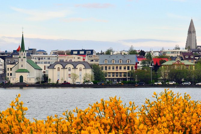 Reykjavik Walking Tour - Walk with a Viking - The Settlement Exhibition under the city, plus Lake Tjörnin’s pause