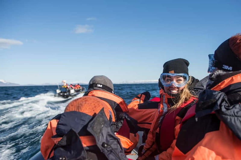 Reykjavik: Whale and Puffin Watching RIB Boat Tour - Key highlights you will feel on this tour