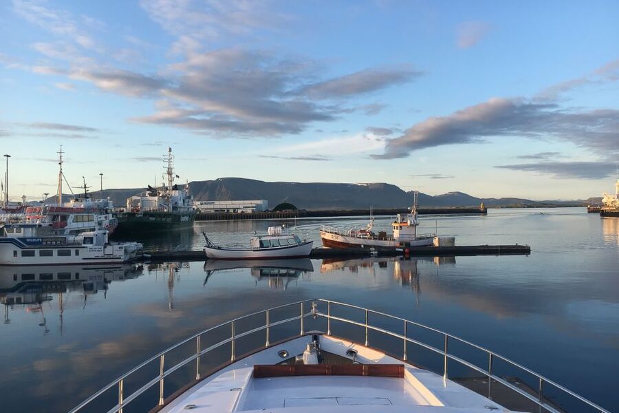 Reykjavik: Whale Watching and Dolphin Watching Yacht Cruise - Key things I’d watch for on this Reykjavik yacht cruise