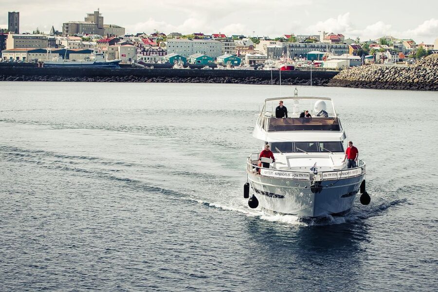 Reykjavik: Whale Watching and Dolphin Watching Yacht Cruise - From Old Harbor to the open water, the flow makes it easy