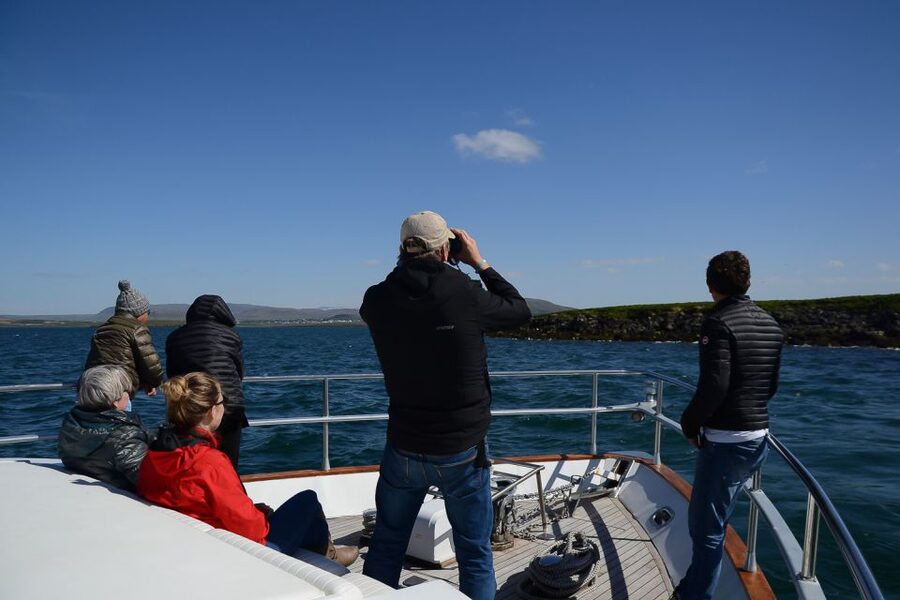 Reykjavik: Whale Watching and Dolphin Watching Yacht Cruise - Observation deck time, and how to stay warm and effective