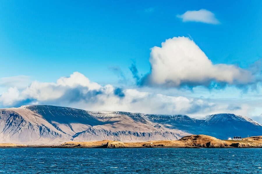 Reykjavík: Whale Watching and Marine Life Cruise - Key things I’d prioritize before you go