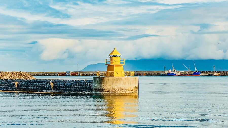 Reykjavík: Whale Watching and Marine Life Cruise - When to go for the best odds in Reykjavík waters