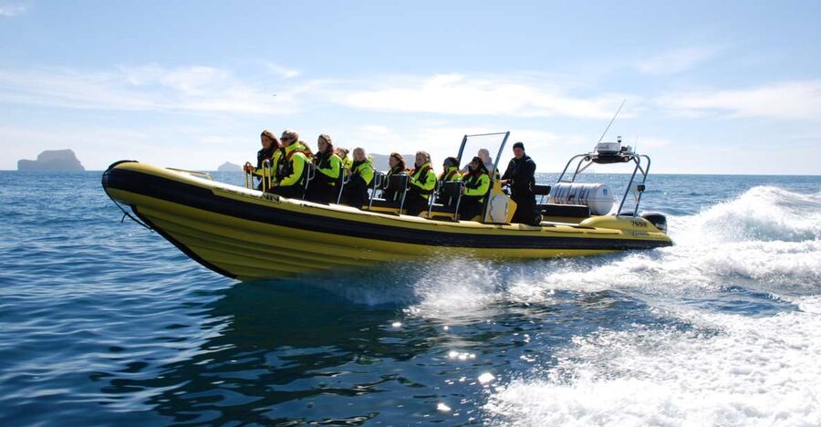 Reykjavik: Whale Watching by RIB Speedboat - From Old Harbor to Open Water, Why This Feels Different