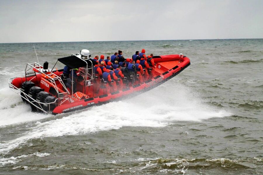 Reykjavik: Whale Watching by RIB Speedboat - Wildlife Odds: Humpbacks, Minke Whales, Dolphins, Porpoises, and Puffins