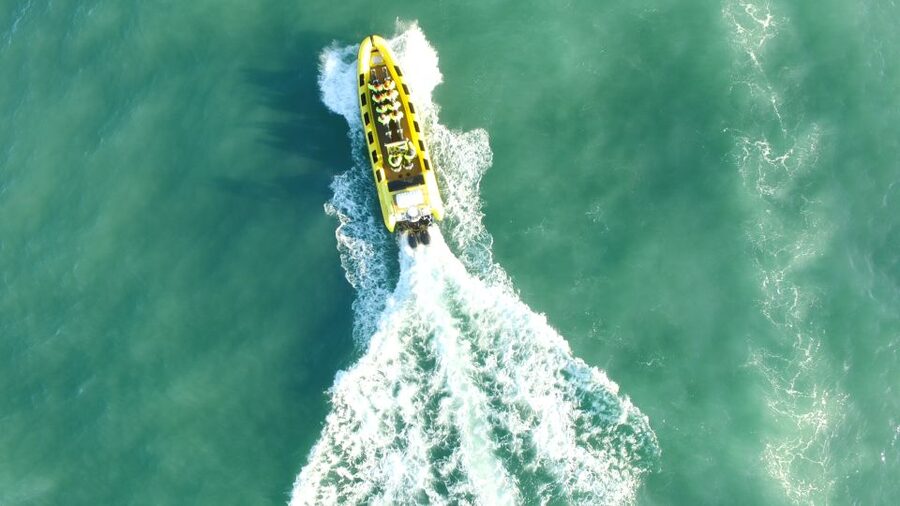 Reykjavik: Whale Watching by RIB Speedboat - My Practical Tips Before You Go