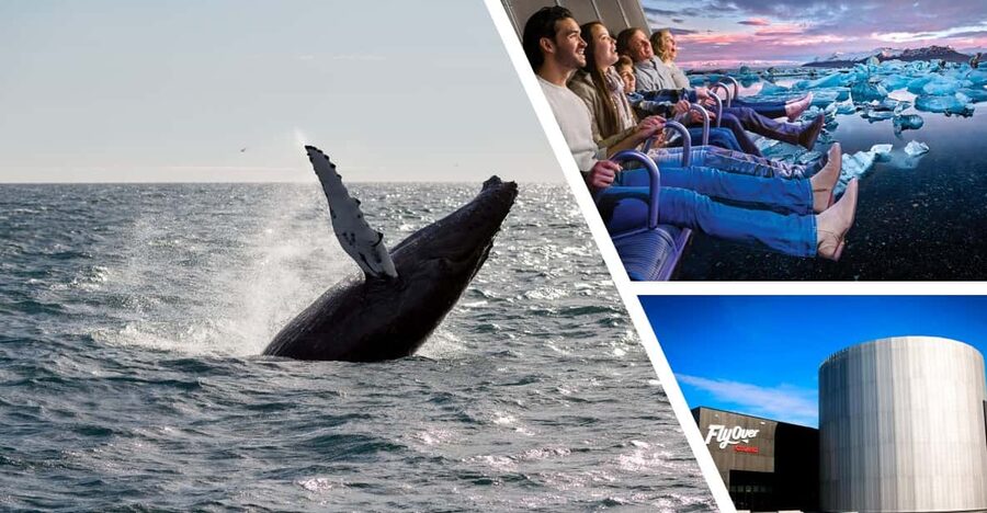 Reykjavík: Whale Watching Cruise and FlyOver Combo Ticket - Price and value: is $153 per person worth it?
