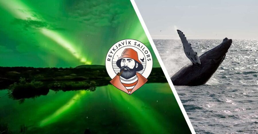 Reykjavik: Whale Watching & Northern Lights Combo Cruise - Geirsgata 11 meet-up and how to arrive ready