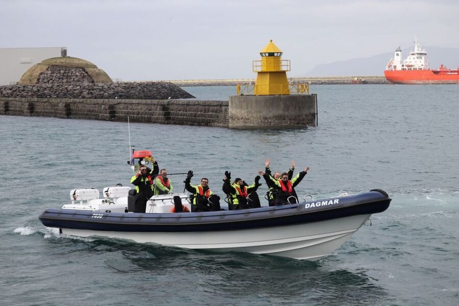 Reykjavik: Whale Watching Tour by RIB Boat - Price and value: is $194 worth it?