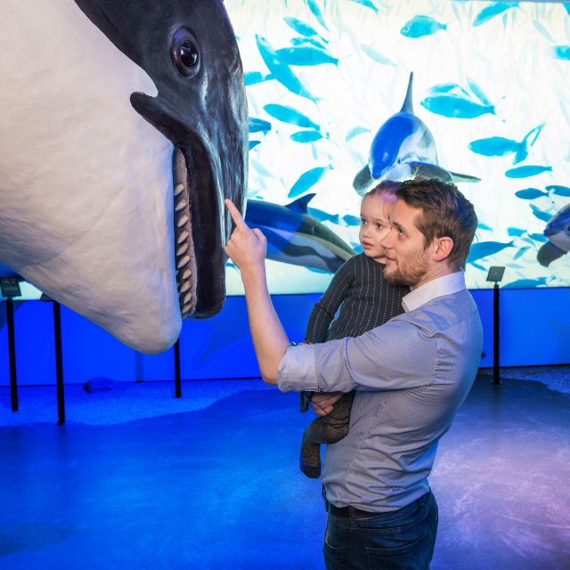 Reykjavik: Whale Watching Tour, Whales of Iceland Exhibition - Key Things That Make This Tour Worth Your Time