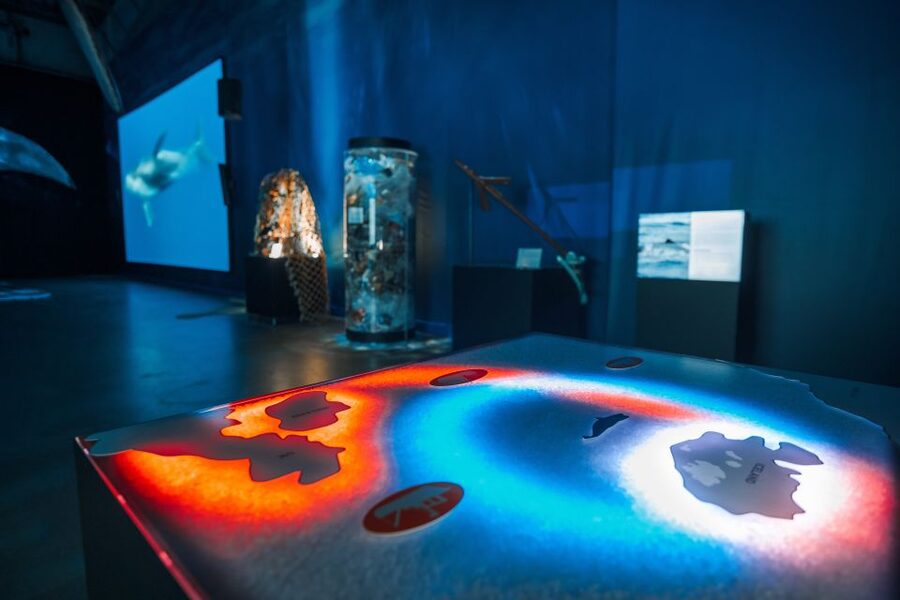 Reykjavik: Whales of Iceland Museum Entrance Ticket - Key things that make Whales of Iceland worth your time