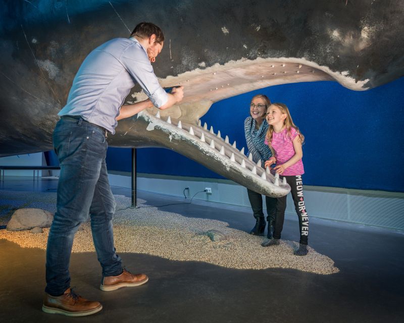 Reykjavik: Whales of Iceland Museum Entrance Ticket - Getting there, parking, and what to budget beyond the ticket