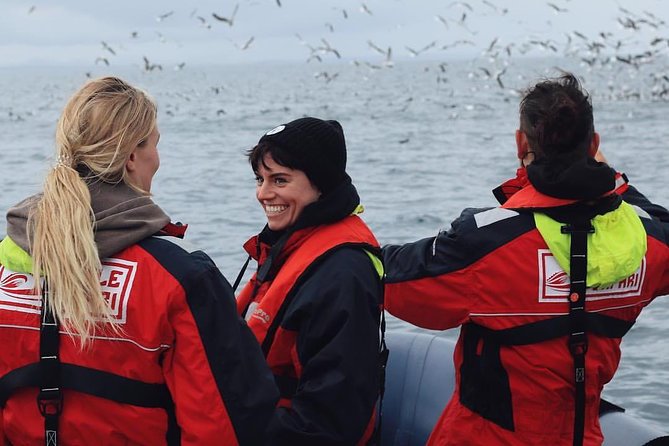 RIB Whale Watching Small-Group Boat Tour from Reykjavik - Meeting at Ægisgarður 5d, then gear up fast