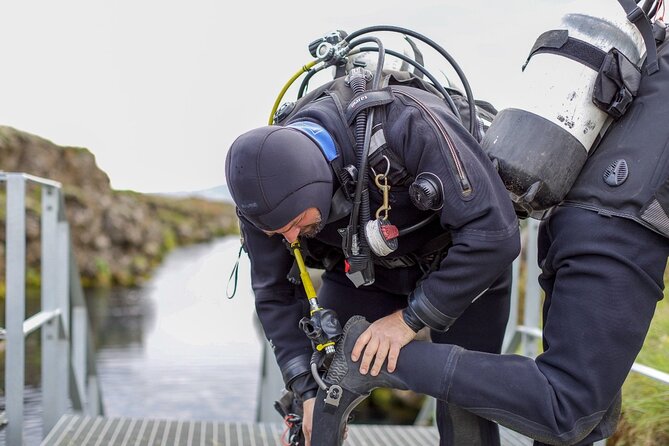 Silfra: Diving Between Tectonic Plates and Pick Up from Reykjavik - Price and value: what $325 buys you in the real world