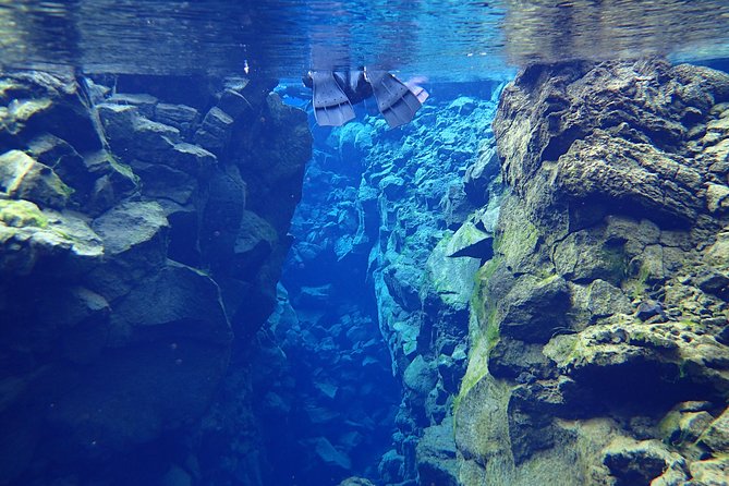 Silfra Fissure Snorkeling From Reykjavík - Free Underwater Photos - Silfra snorkeling: what it feels like to float between Europe and America