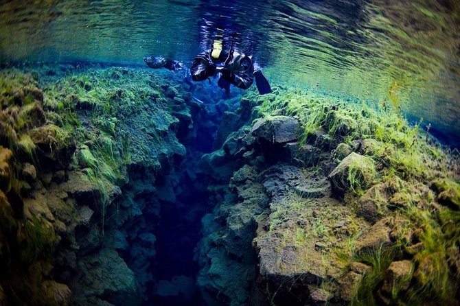 Silfra Fissure Snorkeling From Reykjavík - Free Underwater Photos - After the water: hot chocolate, cookies, and heading back to Reykjavík